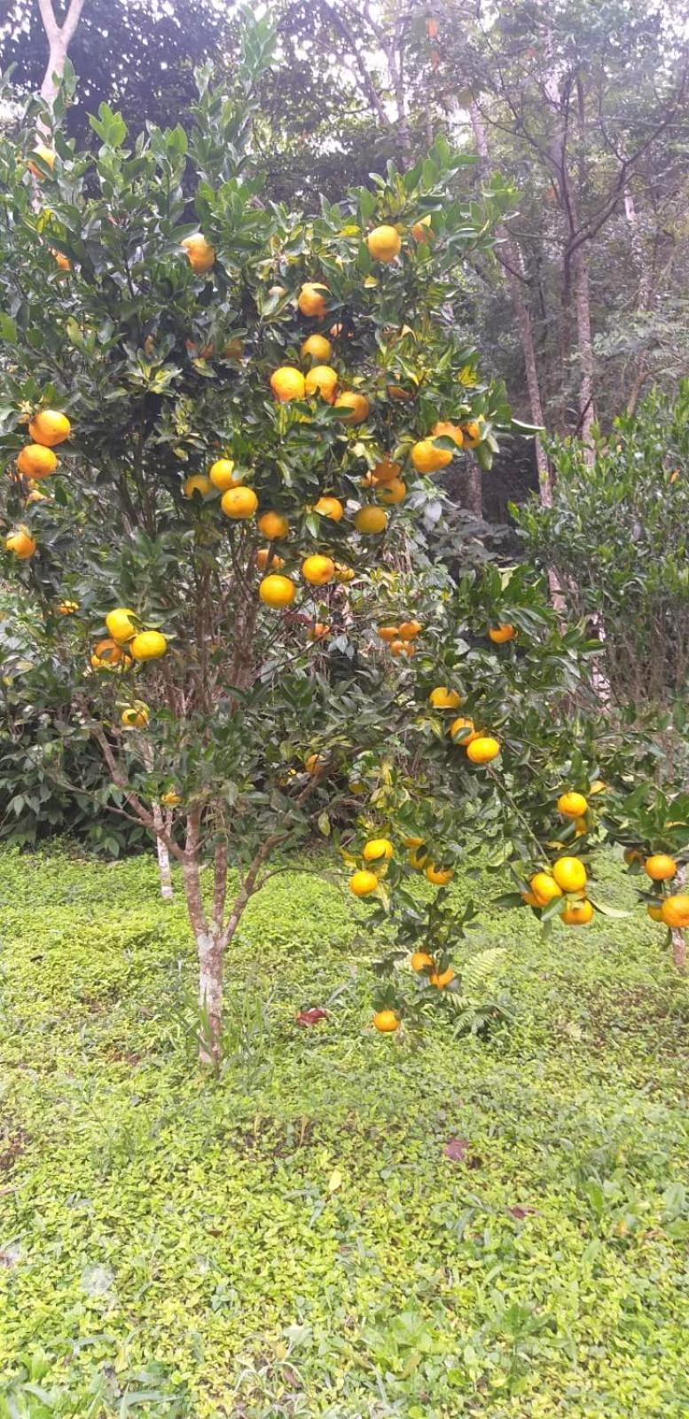 Vila Fazenda Piloes Petrópolis Exteriér fotografie