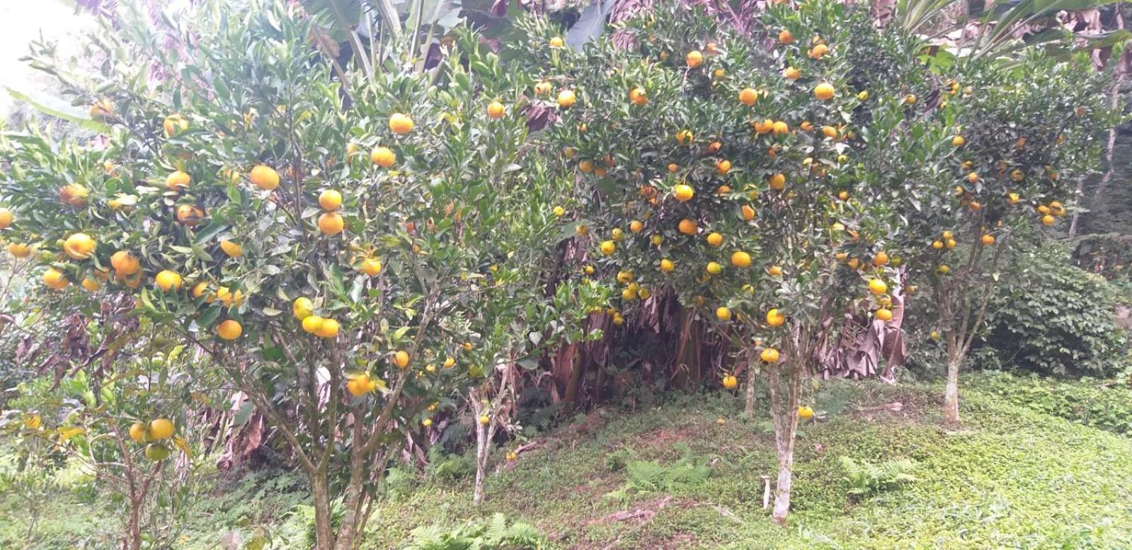 Vila Fazenda Piloes Petrópolis Exteriér fotografie