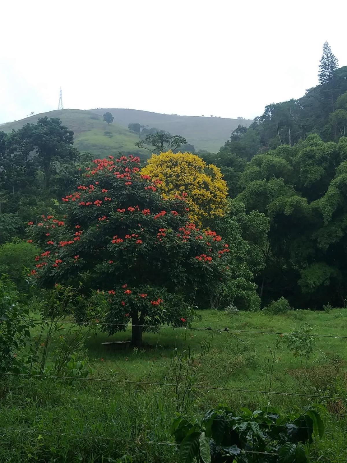 Vila Fazenda Piloes Petrópolis Exteriér fotografie