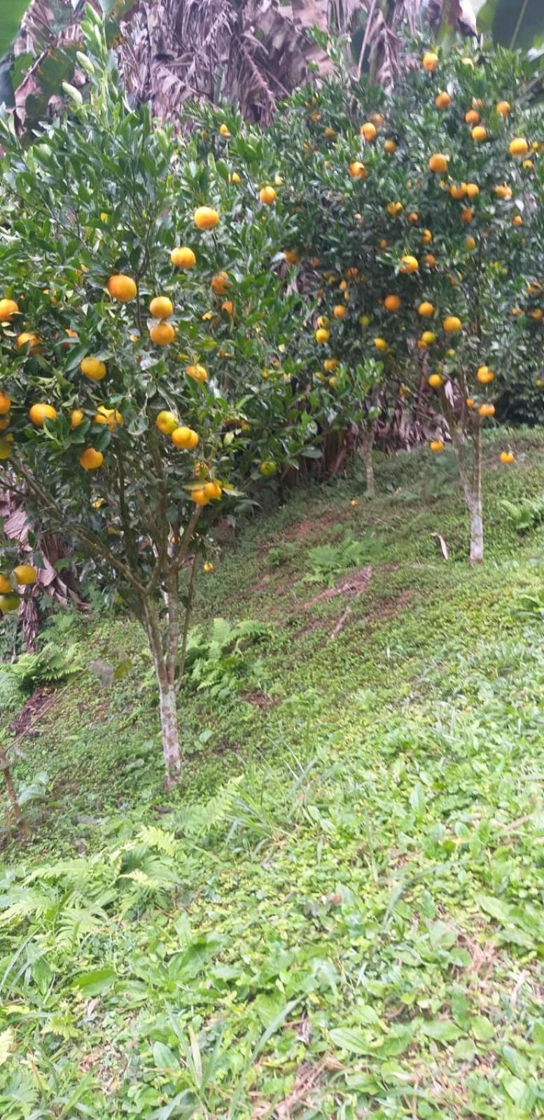 Vila Fazenda Piloes Petrópolis Exteriér fotografie