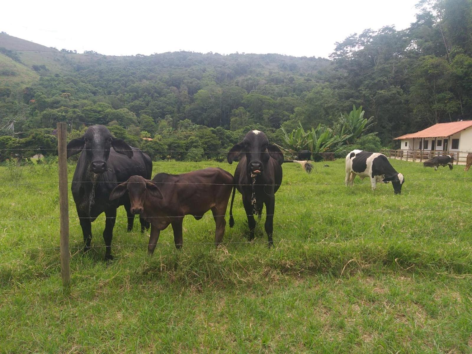 Vila Fazenda Piloes Petrópolis Exteriér fotografie